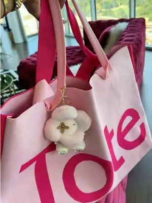 The perfect pink tote bag 🎀💕 . . . . #totebag #tote #fallbag #TikTokShopFalIDealsForYou 