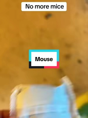 If you keep a clean house and think you don’t need these… watch this before it gets cold 🐭 #repellents #mouserepellent #mouse #mousetrap #reliantpetmouserepellent