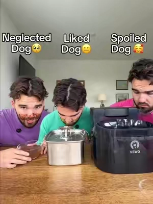 Which dog do you have?👀