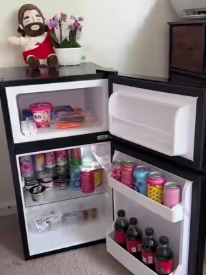 #minirefrigrator #refrigerador #tiktokshop #dealsforyoudays #blackfriday 