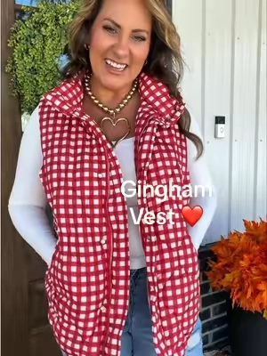 Exceeding my expectations ❤️@EVALESS  #puffervest #gingham 