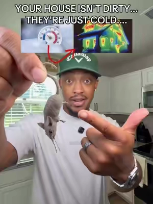 If you keep a clean house and think you don't need these... watch this before it gets cold 🐭 #repellents #mouserepellent #mouse #mousetrap #reliantpetmouserepellent