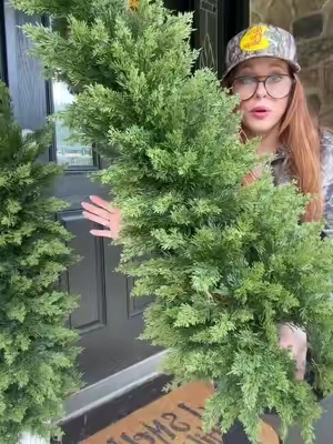 These are the porch trees that give you that full, expensive Christmas look without watering, wilting or dropping needles everywhere. 😂🎄 You get two, they come in weighted pots, and I just drop mine into decorative planters for even more height. Put them out once and enjoy them year after year. 🙌🏼 #FauxCedarTrees #AuthenTik #TikTokShopStockUp #ChristmasPorchDecor #OutdoorChristmasDecor