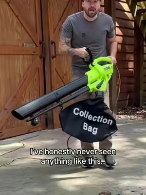 Perfect for those fall leaves #tiktokshopstockup #fall #leafcleanup #lawncare #leafblower 