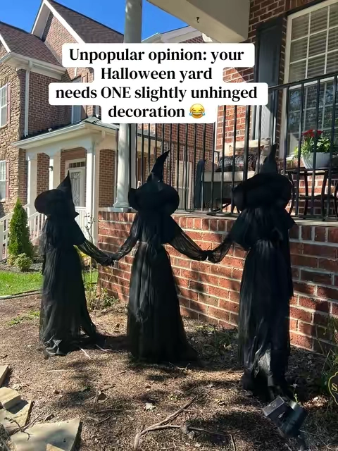 Imagine driving by at night and seeing THESE staring back at you😂 #halloween #halloweendecorations #witches #spooky #spookyseason 