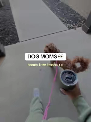 #dogleash 