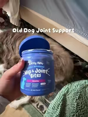 Zesty Paw hip and joint bites for senior dogs #SeniorDog #OldDog #doghipandjointsupplements #dogvitamins 