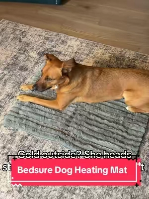 This thing is gonna keep my dog warm and cozy all winter! 🐶 #heatingpad #dogessentials #tiktokshopcreatorpicks #dogparents #dogheatingpad 