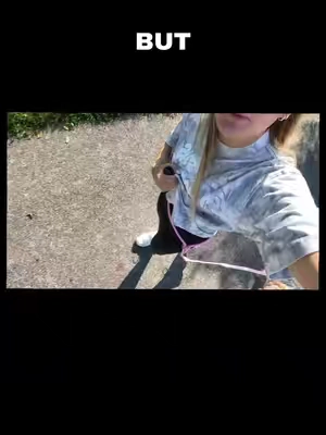 #handsfreedogleash 