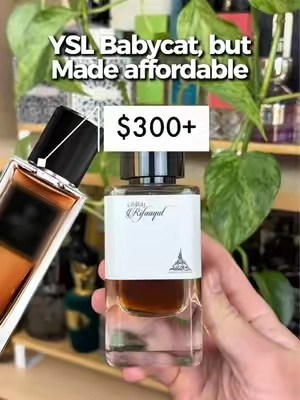 YSL Babycat vs. Paris Corner Rifaaqat - How close are they? 🤔 #fragrancetok #fragrancetiktok #fragrances #mensfragrance #yslbabycat 