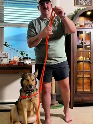 @dogfriendlyco has the best quality and colors! #handsfreedogleash #adjustable #handsfree #heavydutydogleash #tiktokshopcreatorpicks 