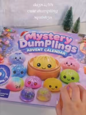 🔥Unlock bun squishies each day for 24 days.#squishycalendar #dumplingsquishy #countdowntochristmas #fidgettok