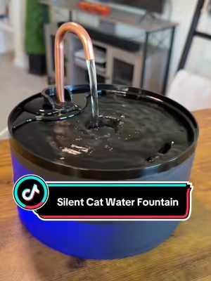 Moving water 💦 + anti-slime 🦠 = all the difference #catfountain #catwaterfountain #catparent #petfountain #catsoftiktok 